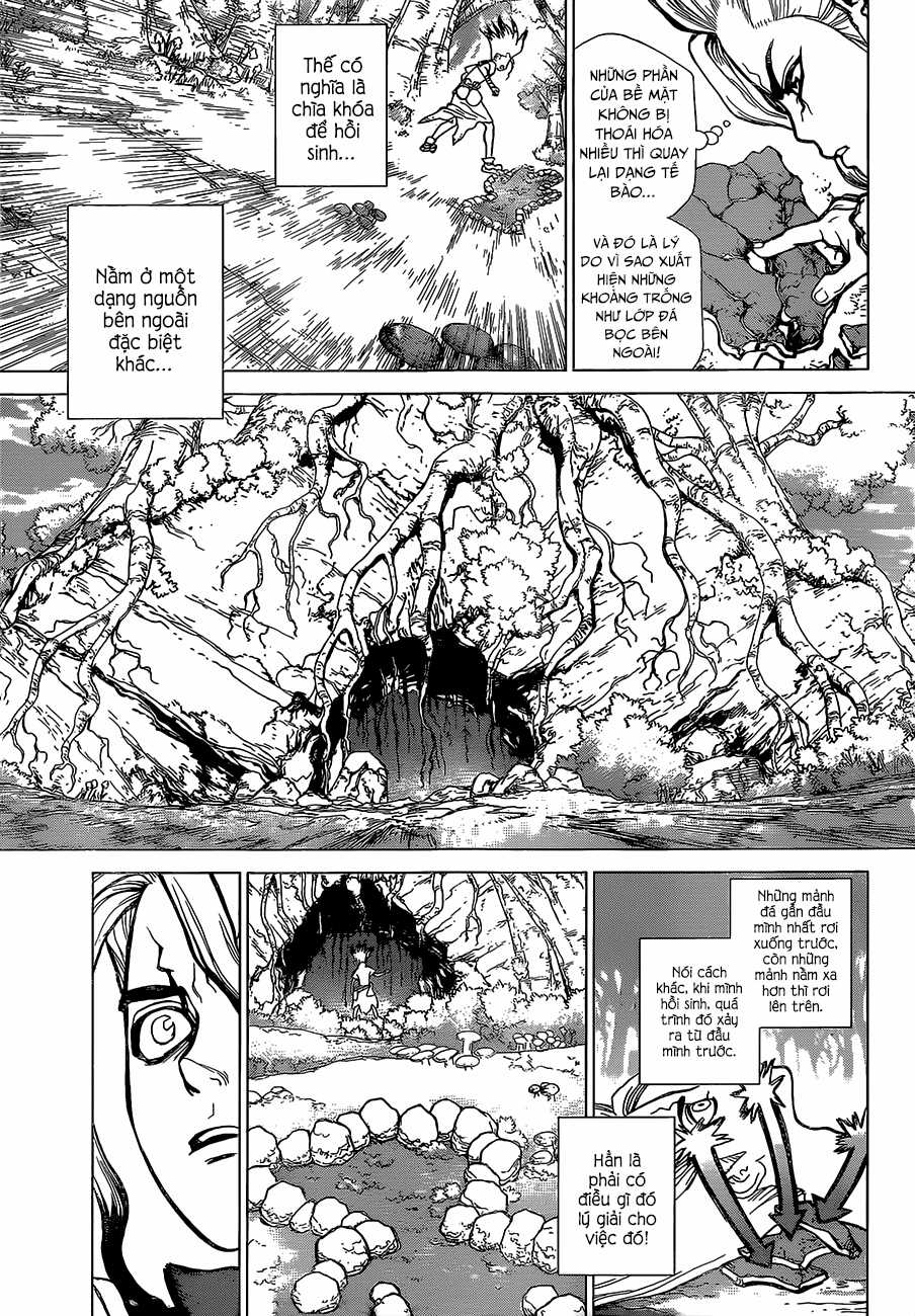 Dr.stone - Chapter 14 - Trang 8