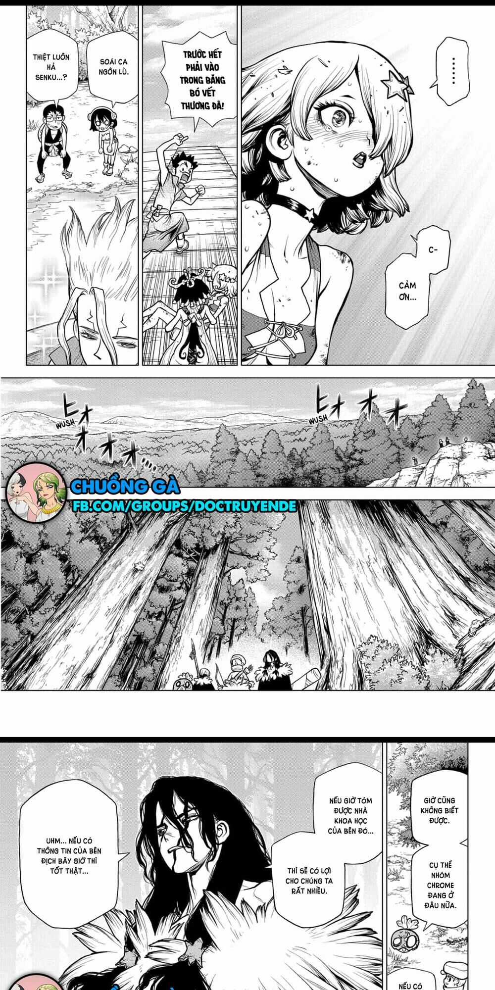 Dr.stone - Chapter 154 - Trang 13