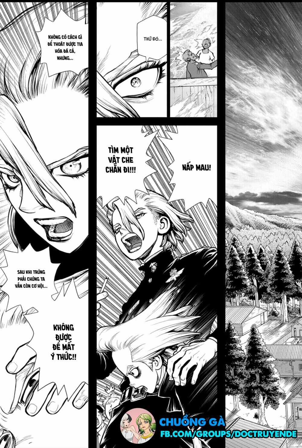 Dr.stone - Chapter 157 - Trang 11