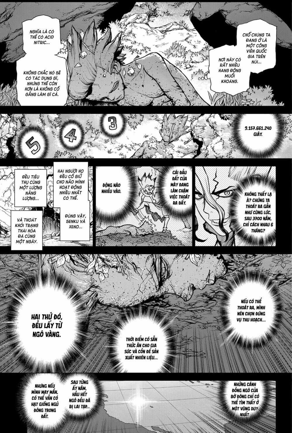 Dr.stone - Chapter 157 - Trang 17