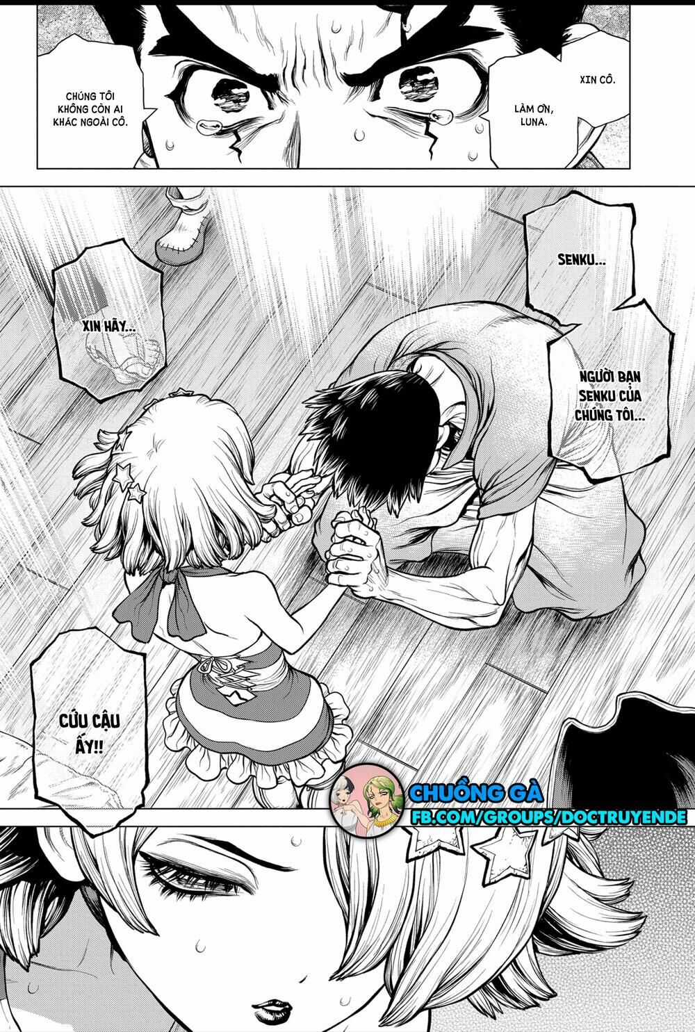 Dr.stone - Chapter 160 - Trang 11