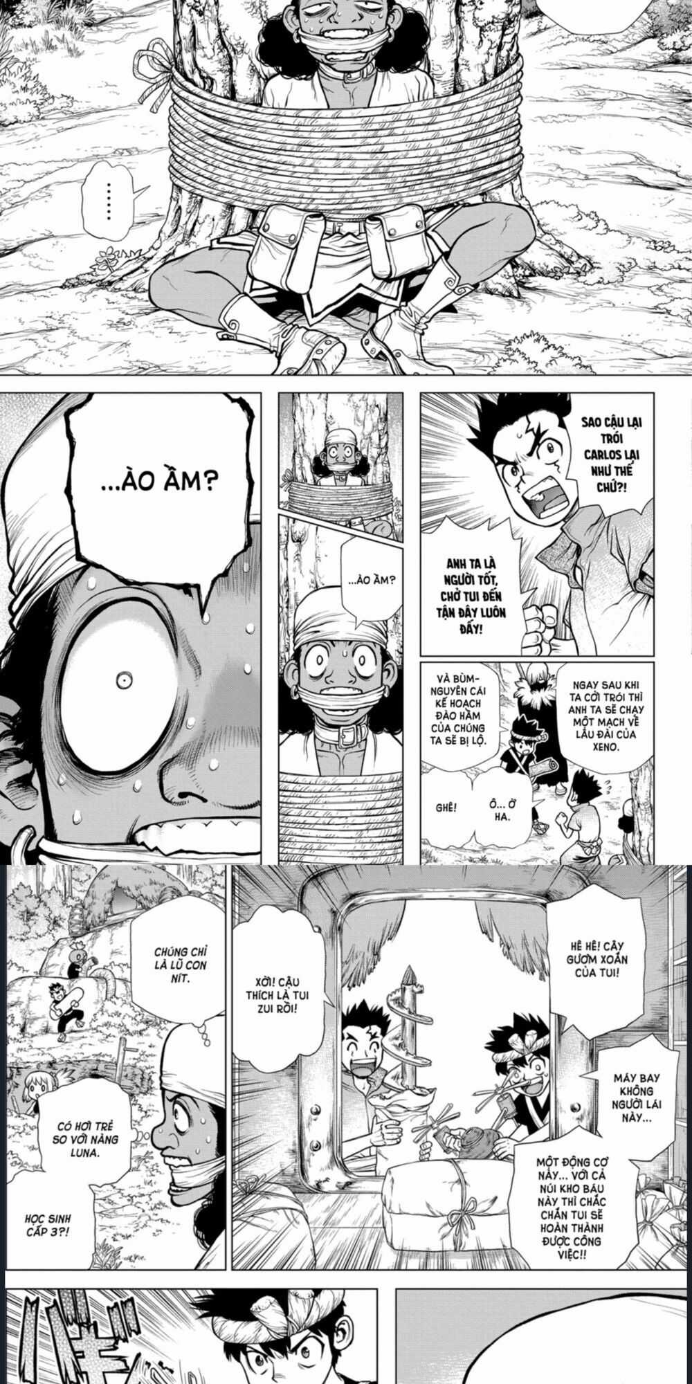 Dr.stone - Chapter 162 - Trang 12