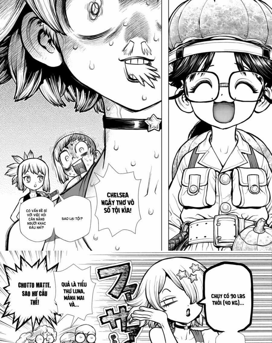 Dr.stone - Chapter 178 - Trang 7