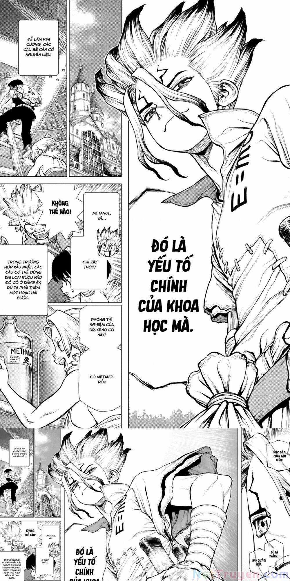 Dr.stone - Chapter 182 - Trang 11