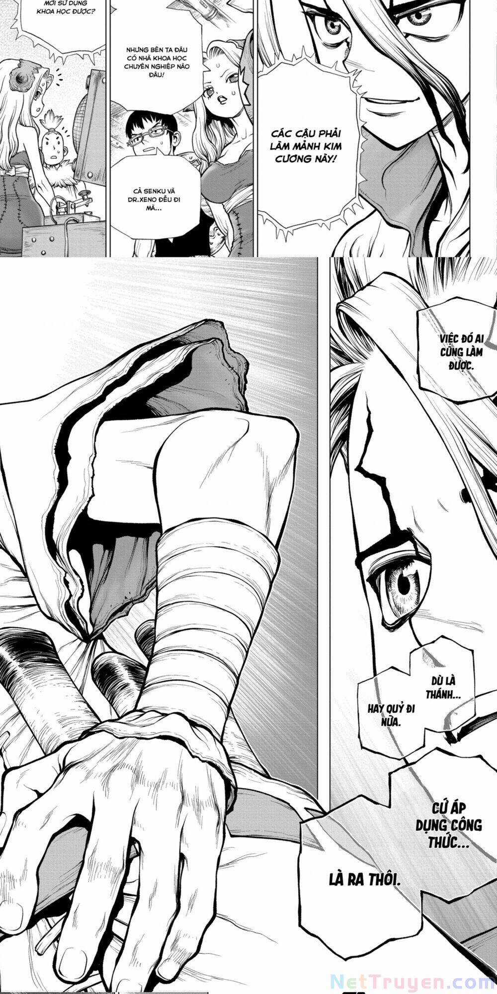 Dr.stone - Chapter 182 - Trang 10