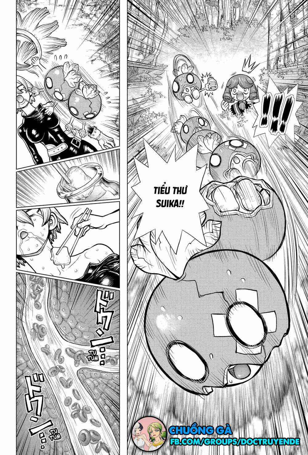 Dr.stone - Chapter 185 - Trang 19