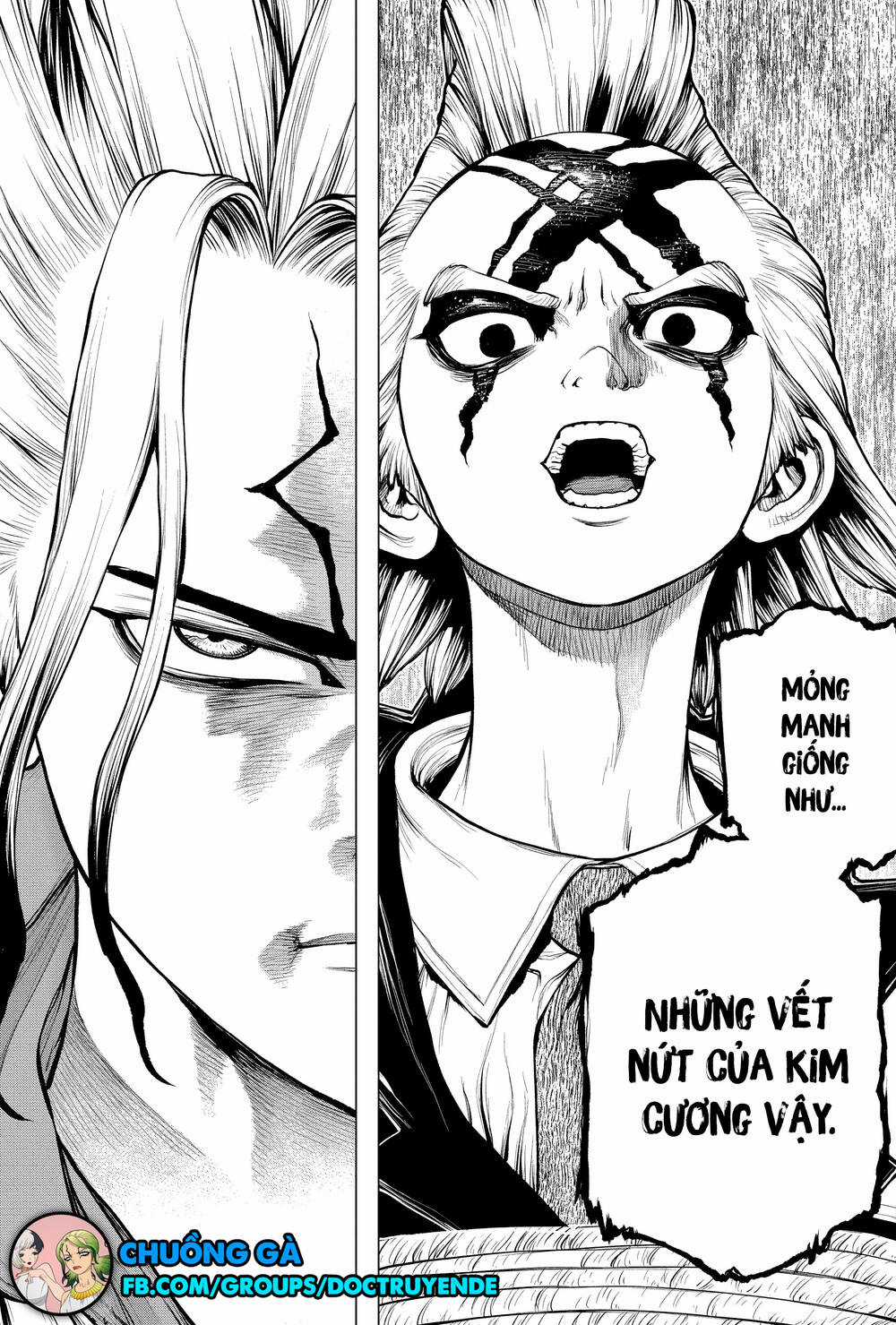 Dr.stone - Chapter 185 - Trang 21