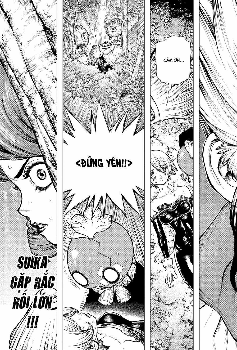 Dr.stone - Chapter 185 - Trang 22