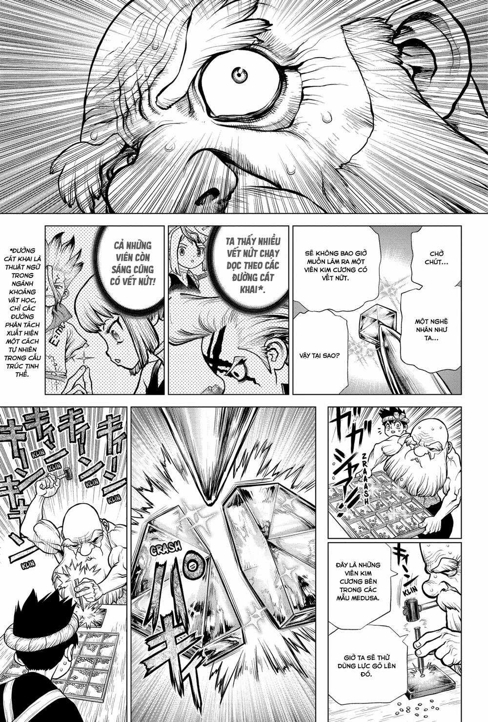 Dr.stone - Chapter 185 - Trang 10