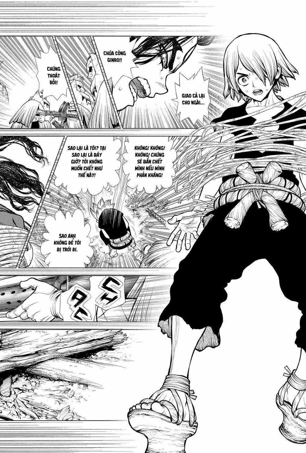Dr.stone - Chapter 186 - Trang 8