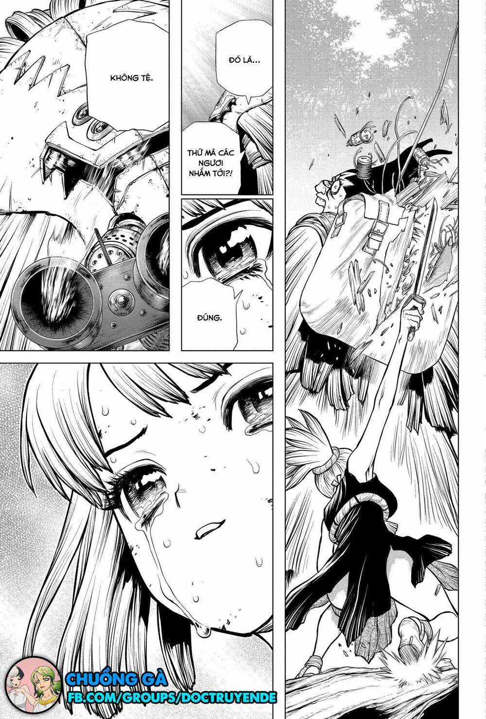 Dr.stone - Chapter 188 - Trang 13