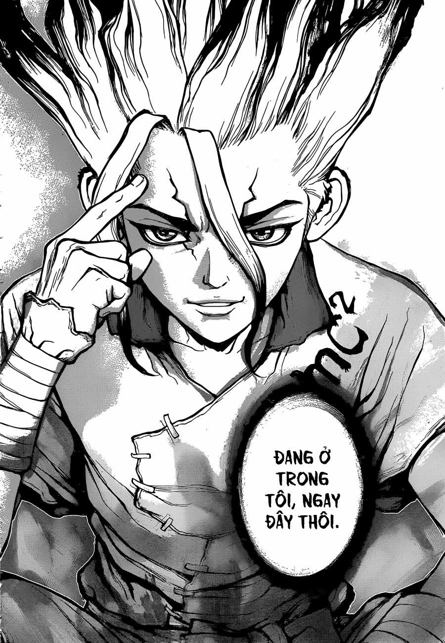 Dr.stone - Chapter 19 - Trang 17