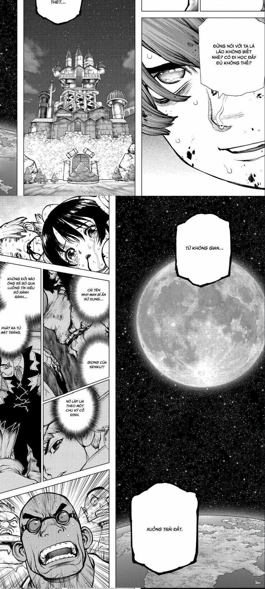 Dr.stone - Chapter 191 - Trang 12