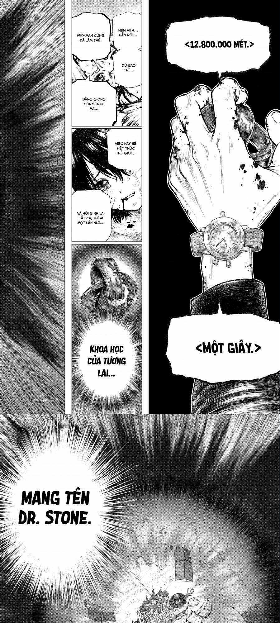 Dr.stone - Chapter 191 - Trang 13