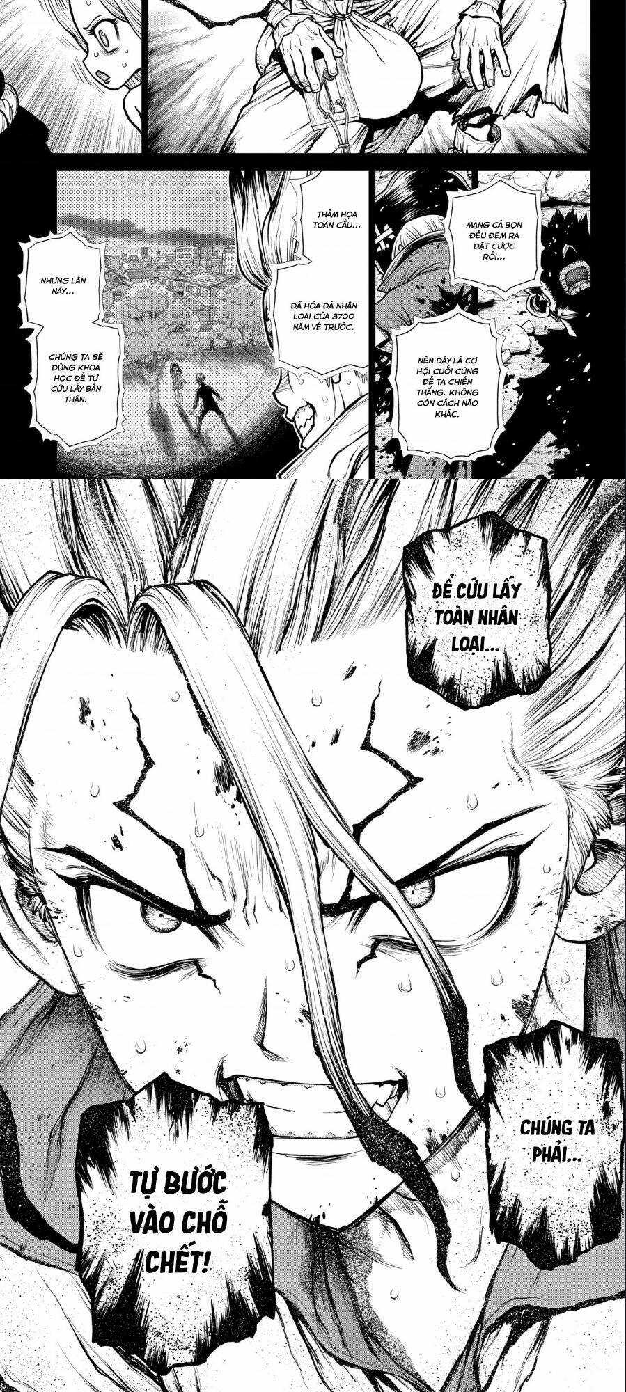 Dr.stone - Chapter 191 - Trang 3