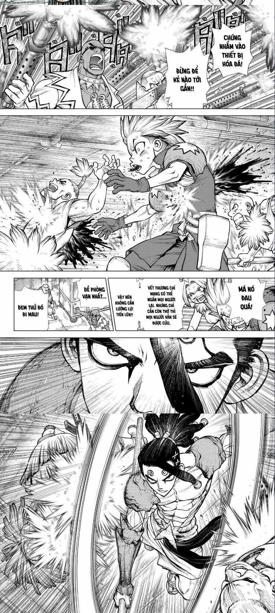 Dr.stone - Chapter 191 - Trang 5