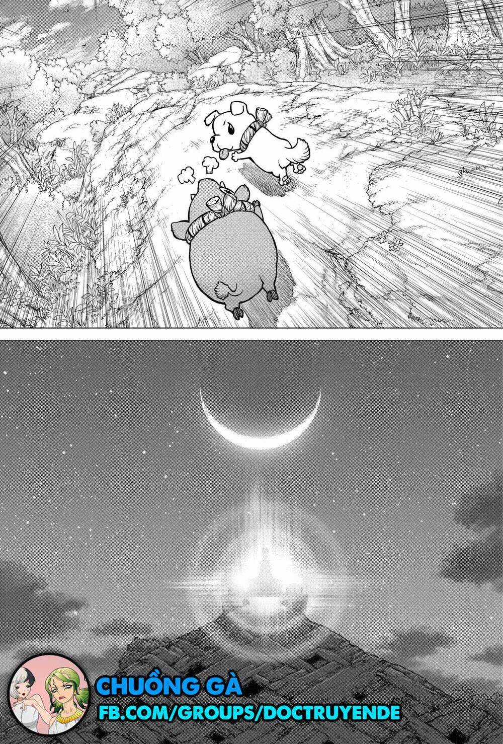 Dr.stone - Chapter 193 - Trang 15