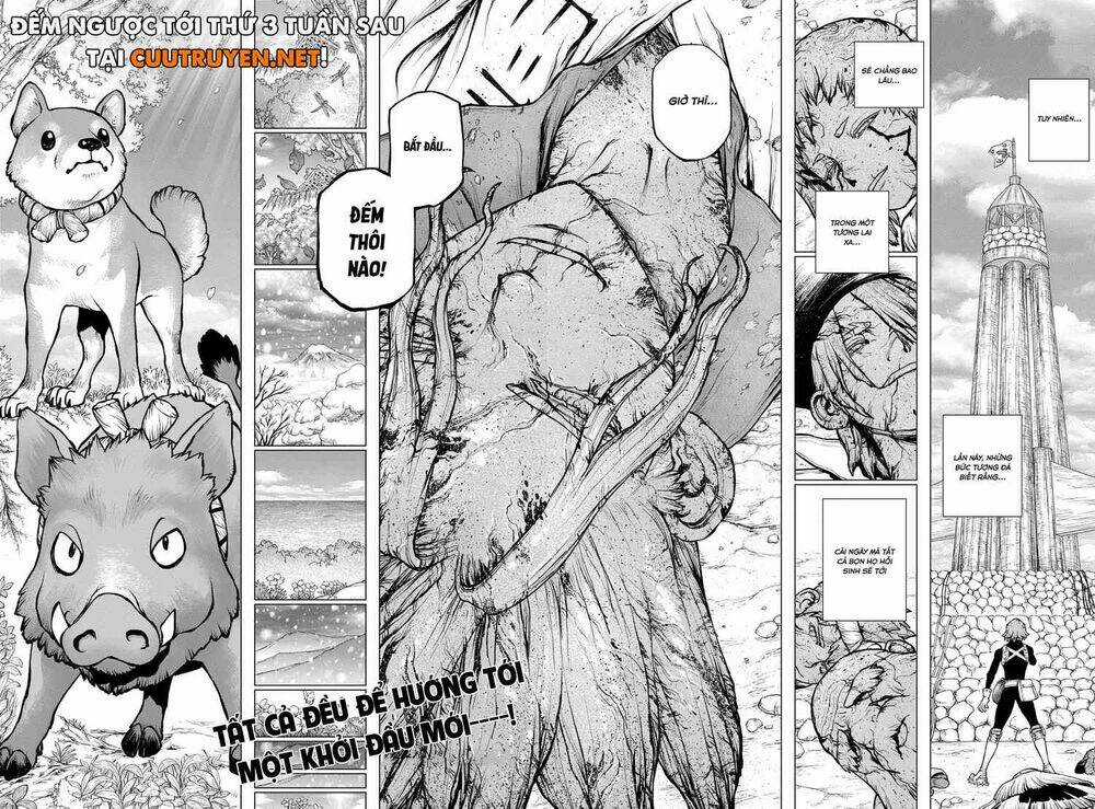 Dr.stone - Chapter 193 - Trang 17
