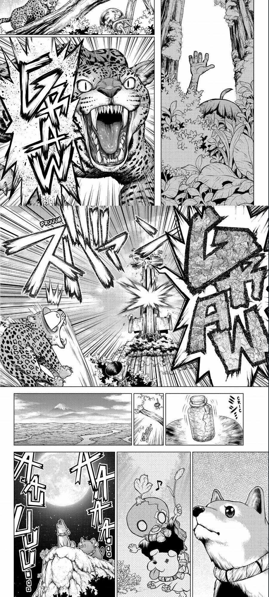 Dr.stone - Chapter 194 - Trang 3