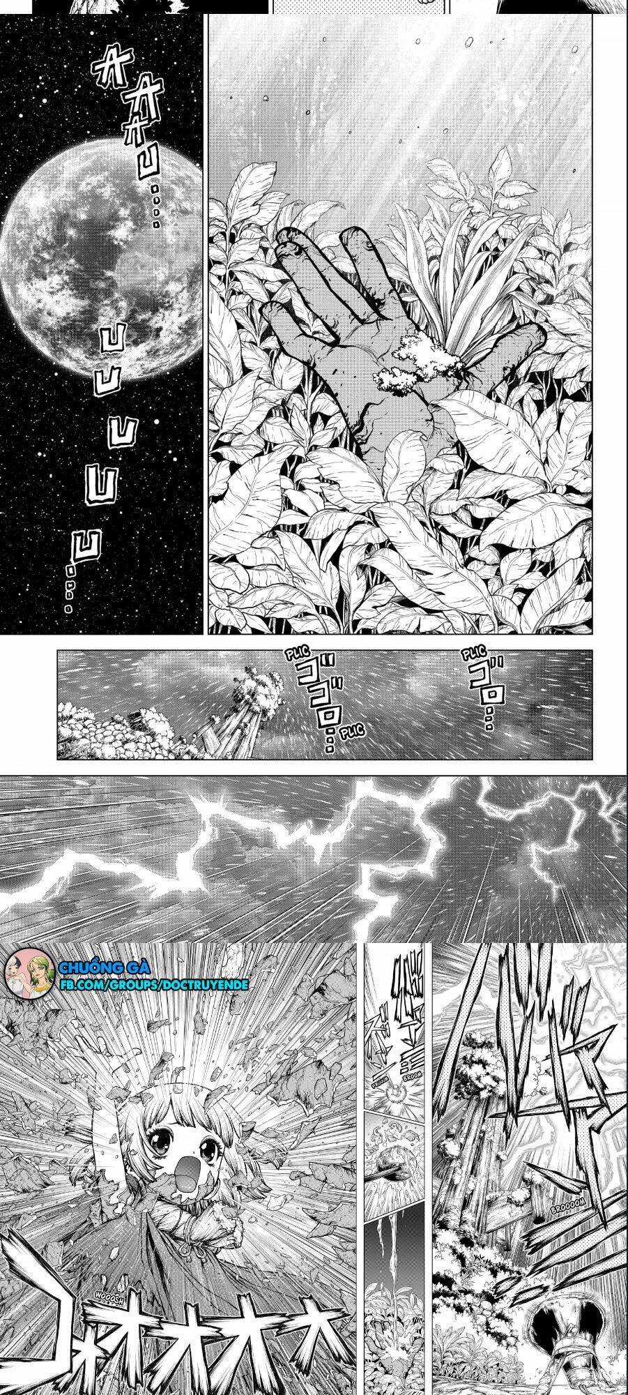 Dr.stone - Chapter 194 - Trang 4