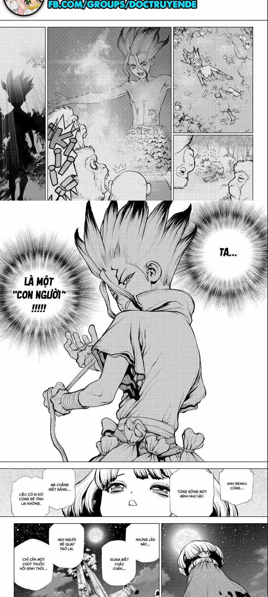 Dr.stone - Chapter 194 - Trang 10