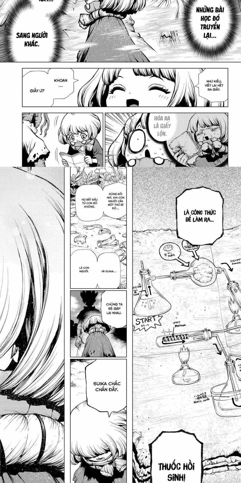 Dr.stone - Chapter 195 - Trang 11