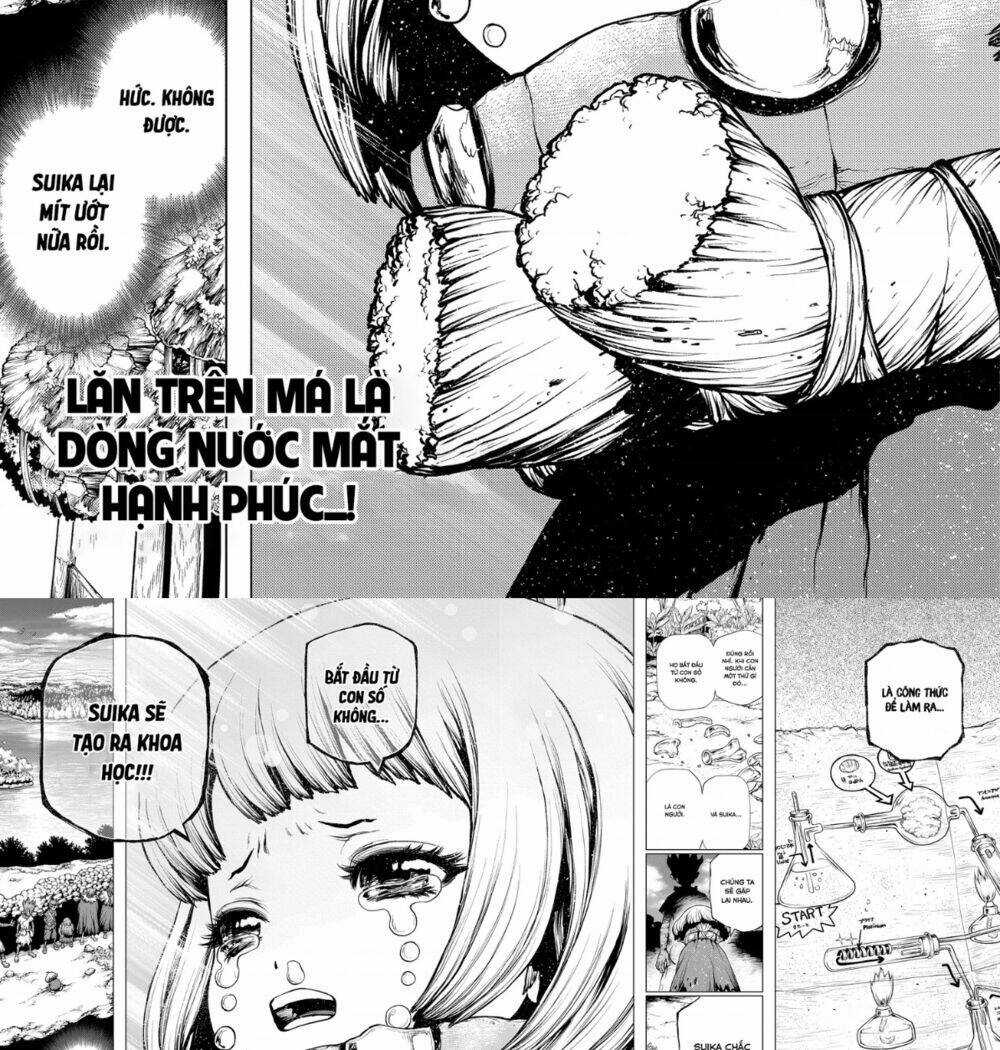 Dr.stone - Chapter 195 - Trang 13