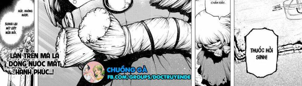 Dr.stone - Chapter 195 - Trang 14
