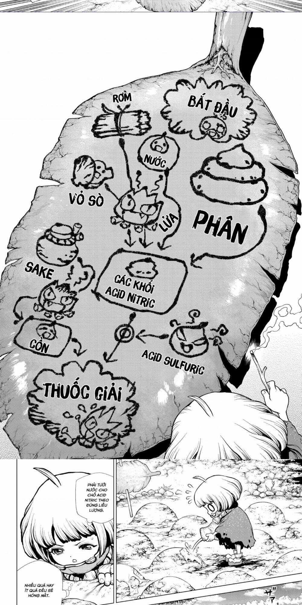 Dr.stone - Chapter 196 - Trang 8