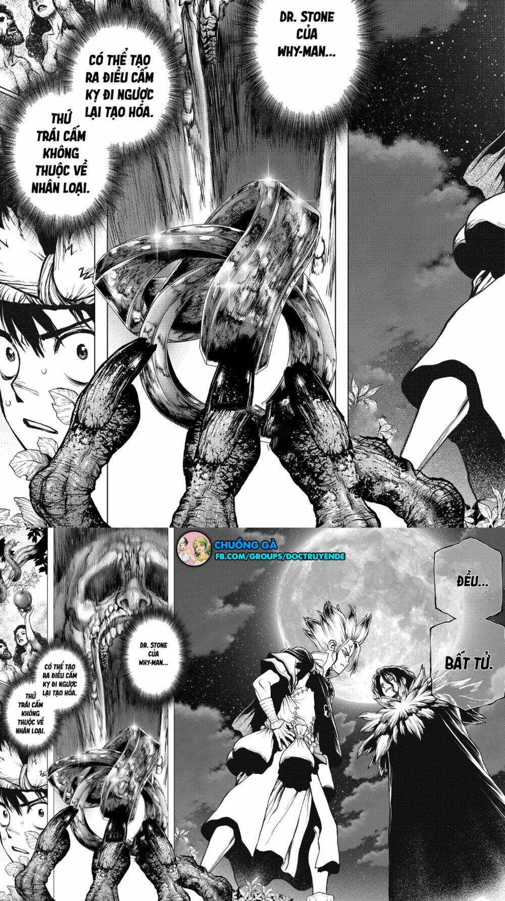 Dr.stone - Chapter 197 - Trang 16
