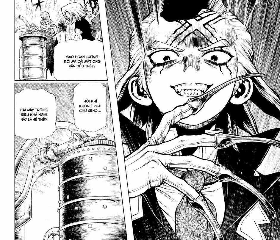 Dr.stone - Chapter 199 - Trang 4