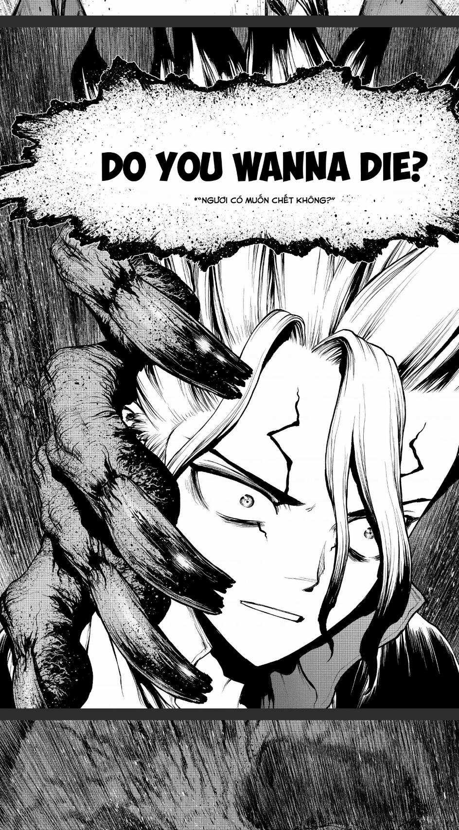 Dr.stone - Chapter 201 - Trang 11