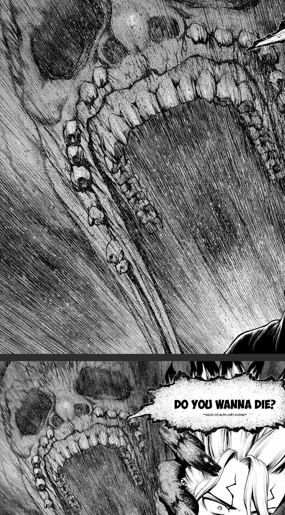 Dr.stone - Chapter 201 - Trang 12