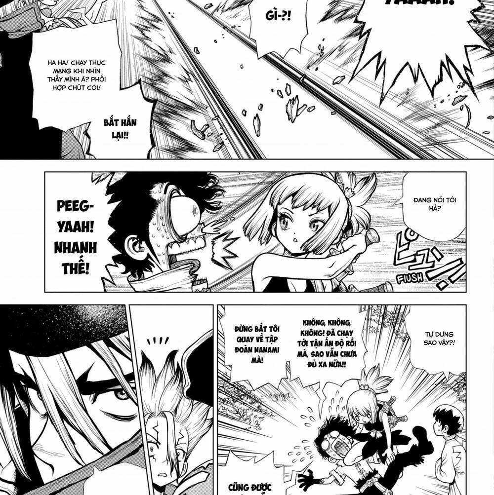 Dr.stone - Chapter 204 - Trang 19