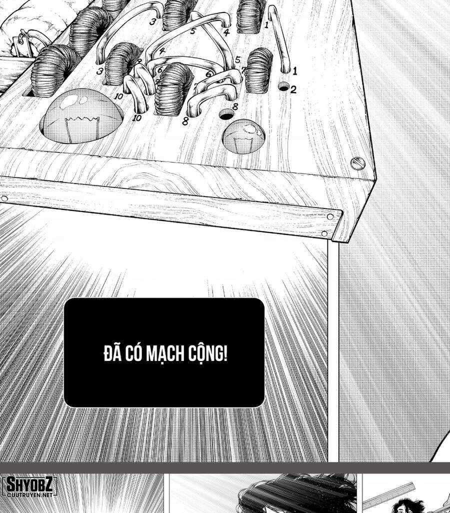 Dr.stone - Chapter 206 - Trang 20