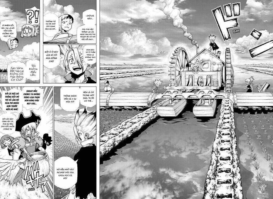 Dr.stone - Chapter 211 - Trang 11