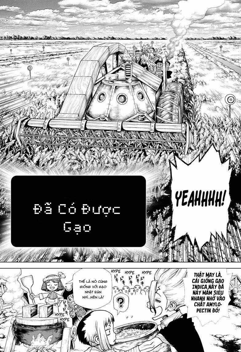 Dr.stone - Chapter 211 - Trang 13