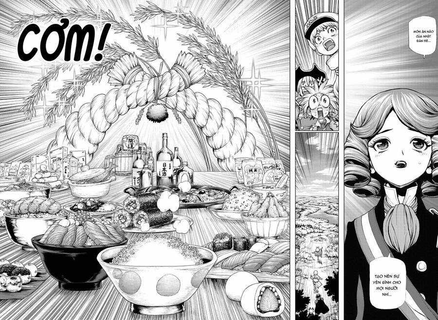 Dr.stone - Chapter 211 - Trang 8
