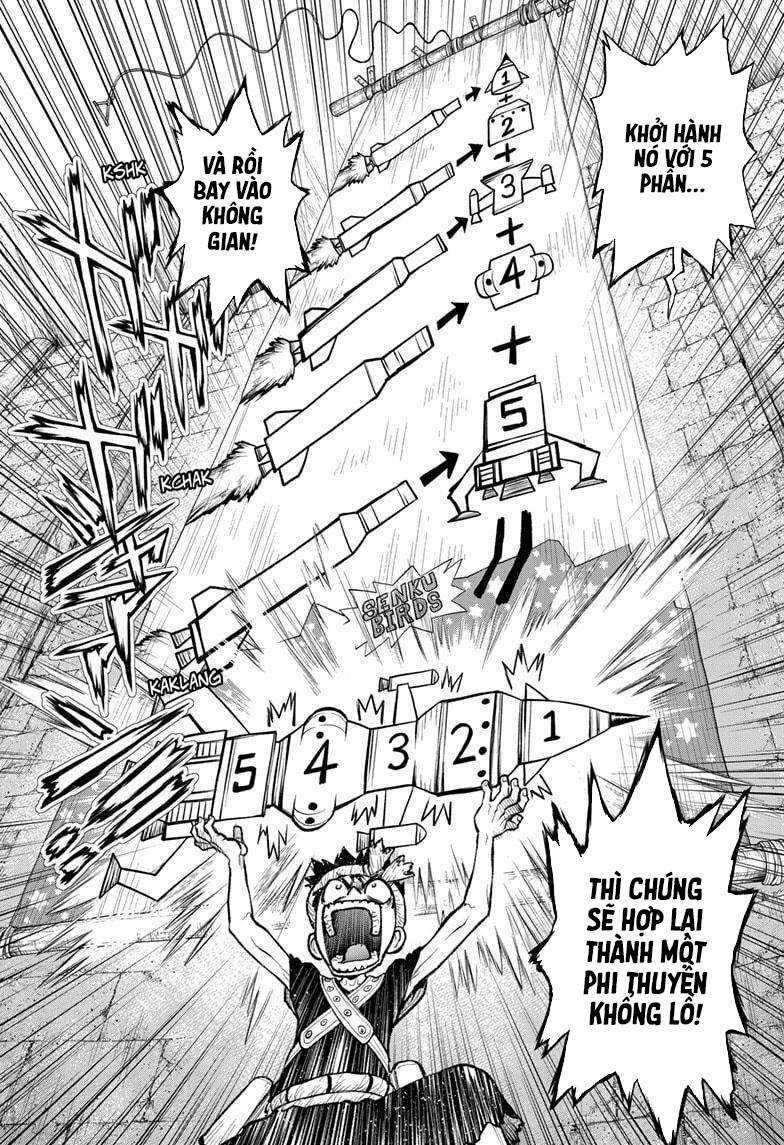 Dr.stone - Chapter 217 - Trang 8