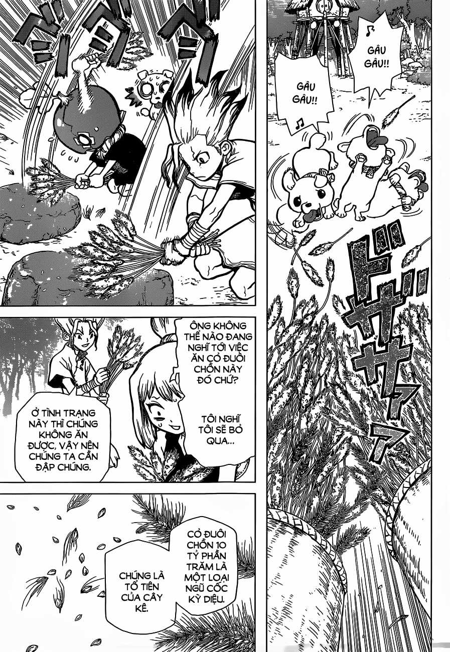 Dr.stone - Chapter 22 - Trang 12