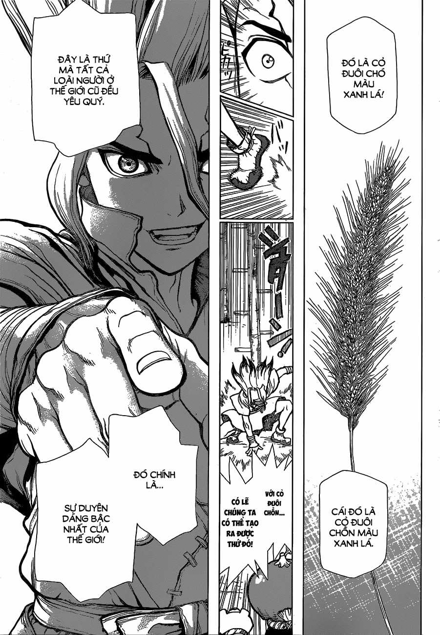 Dr.stone - Chapter 22 - Trang 10