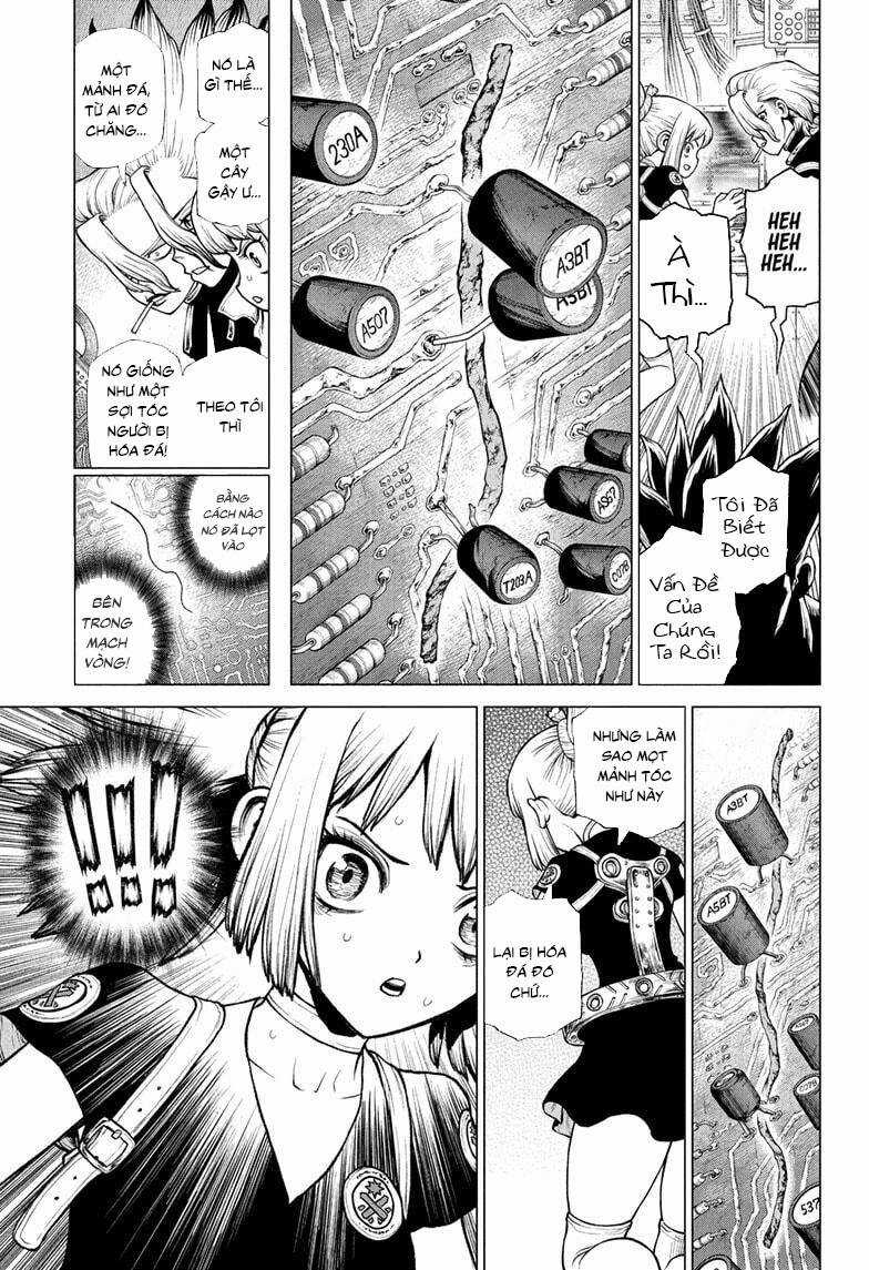 Dr.stone - Chapter 225 - Trang 8