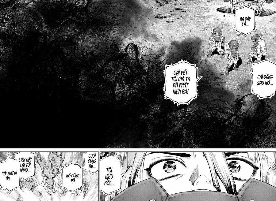 Dr.stone - Chapter 227 - Trang 16