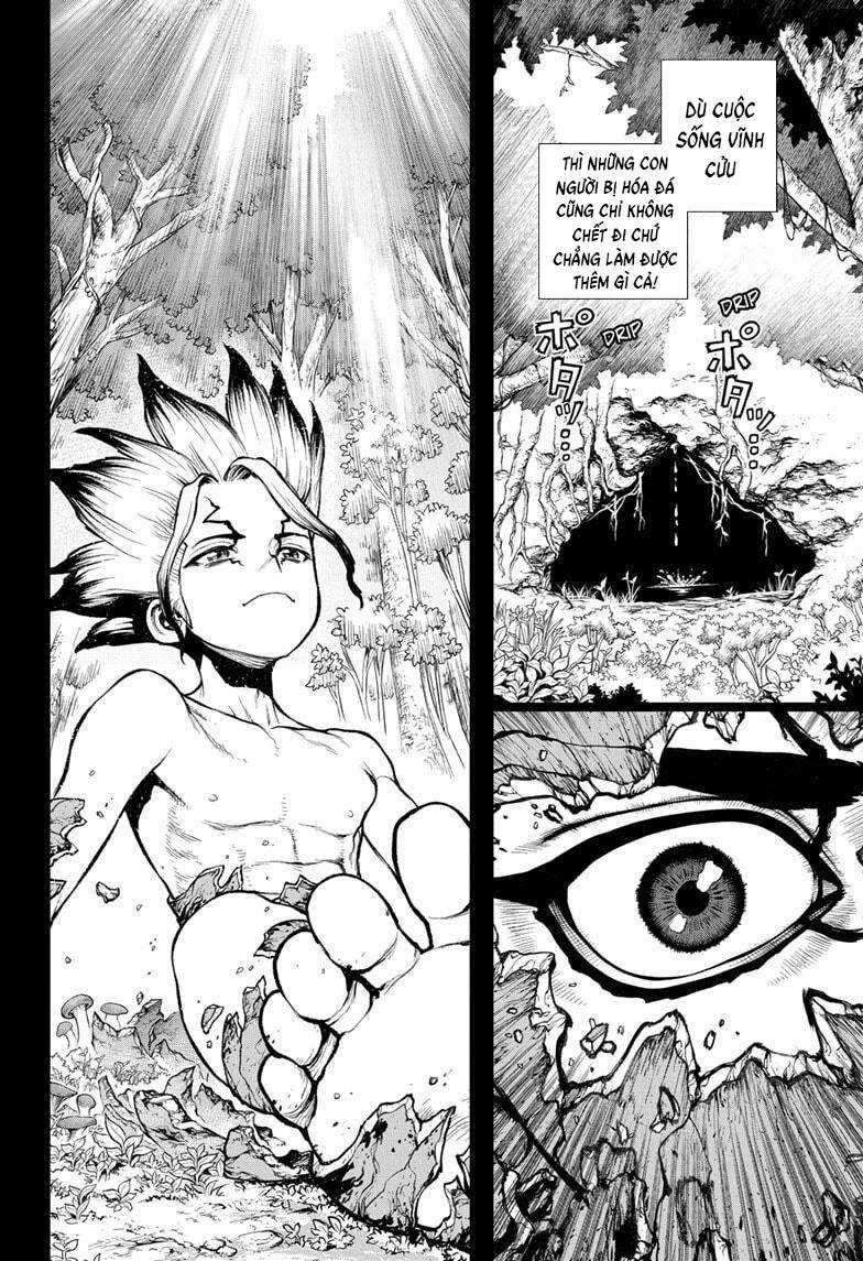 Dr.stone - Chapter 229 - Trang 14