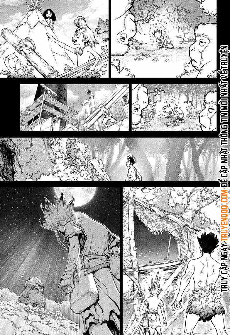 Dr.stone - Chapter 229 - Trang 15