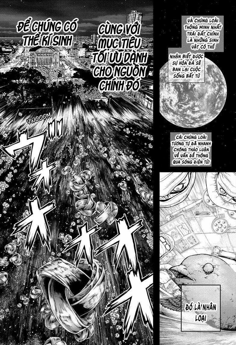 Dr.stone - Chapter 229 - Trang 8