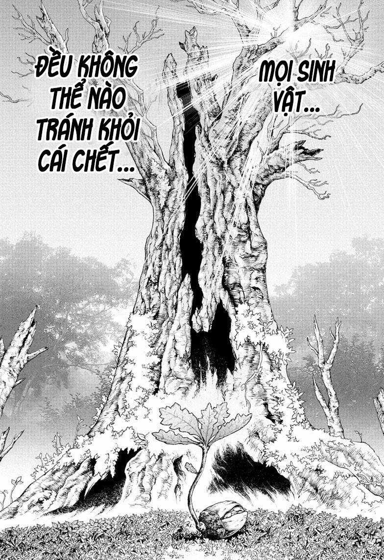 Dr.stone - Chapter 230 - Trang 2
