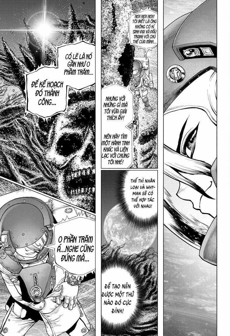 Dr.stone - Chapter 231 - Trang 10