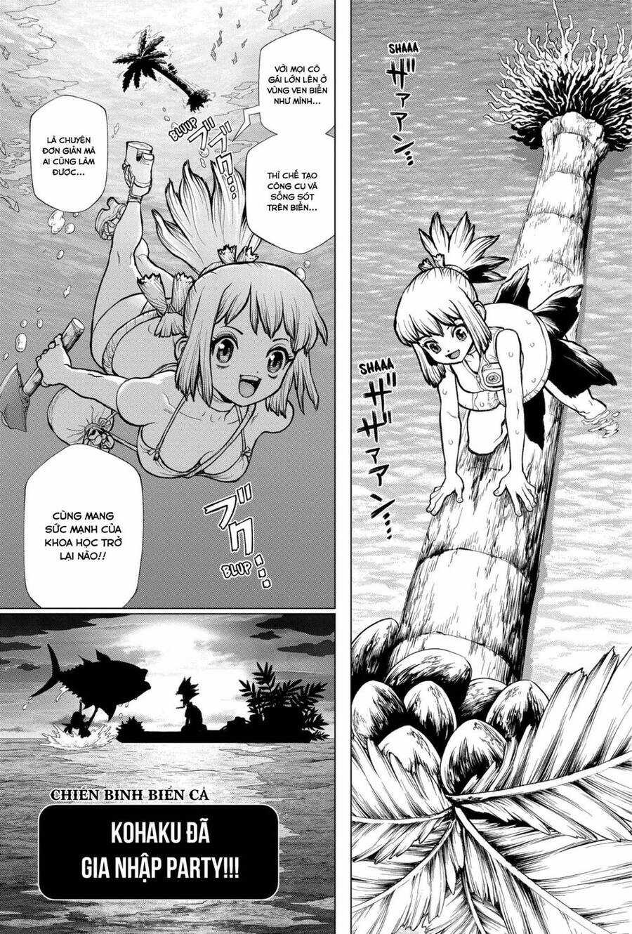 Dr.stone - Chapter 232.6 - Trang 23