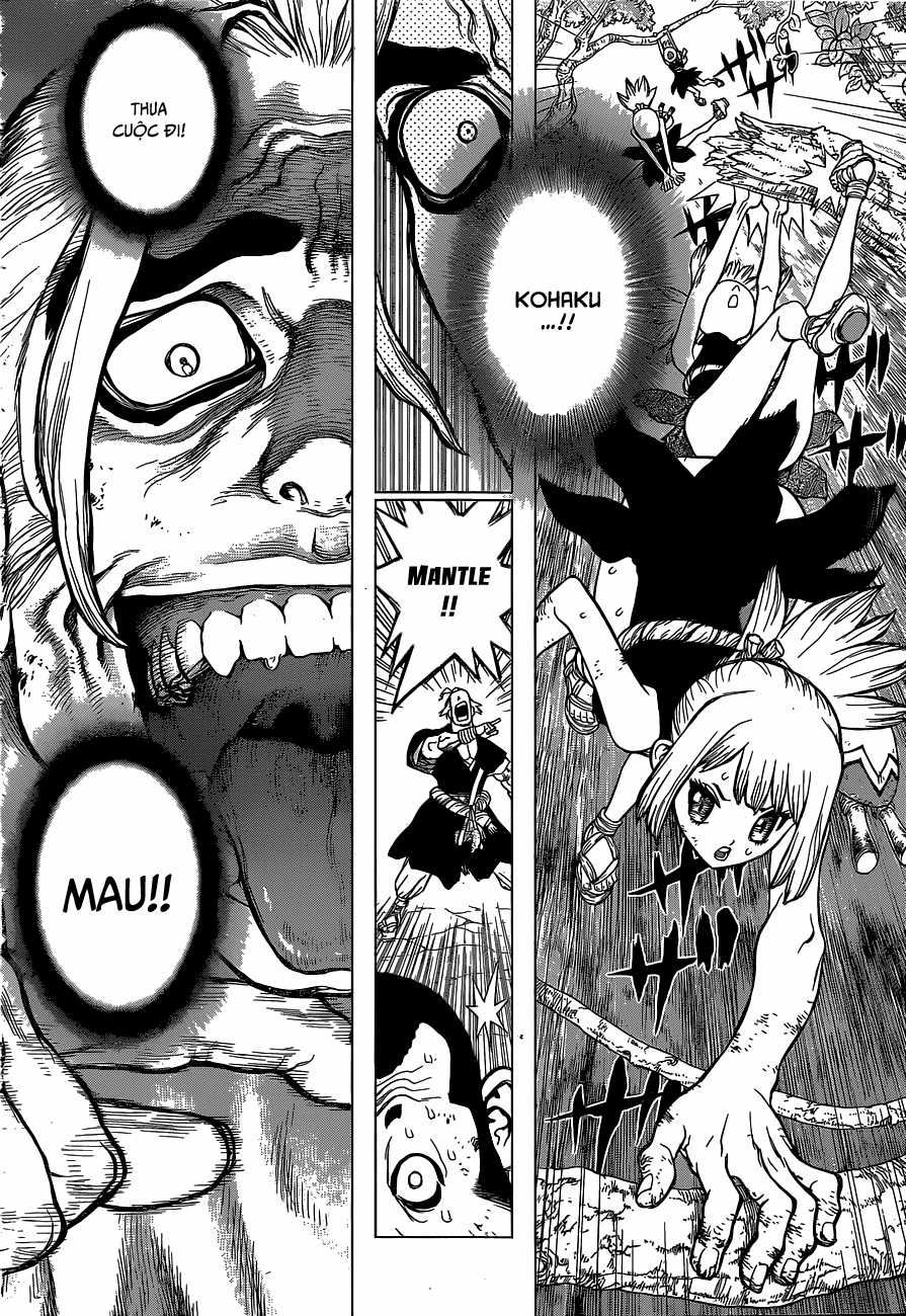 Dr.stone - Chapter 36 - Trang 11